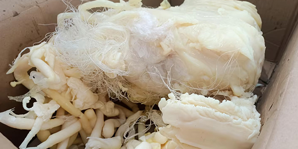 塑料机头料破碎机，减容、增效、环保一网打尽